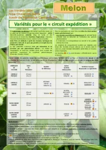 Fiche variétale melon 2024 - Expédition