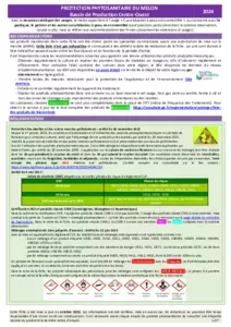 Fiche phytosanitaire melon 2024