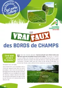 Le vrai faux des bords de champs