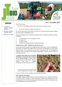 17 - 19/10/2022 - Bulletin JT Bio n°17 - 2022