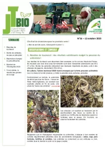 16 - 21/09/2023 - Bulletin JT Bio n°16 - 2023