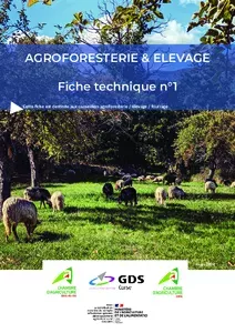 Agroforesterie & Elevage : concevoir, planter et entretenir les arbres