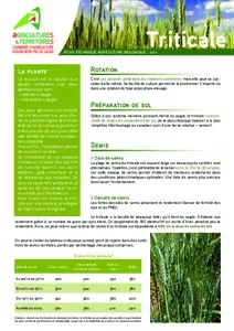 Fiche Technico-économique : Triticale