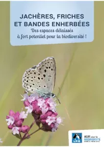 Jachères, friches et bandes enherbées