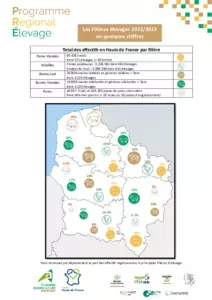 Les filières élevages 2022-2023 en quelques chiffres