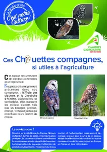 Ces chouettes compagnes, si utiles à l'agriculture