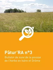 n°3 - Patu'RA 2024