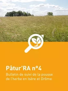 n°4 - Patu'RA 2024