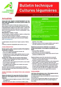 Bulletin Technique - Cultures légumières - N°9 juillet 2024