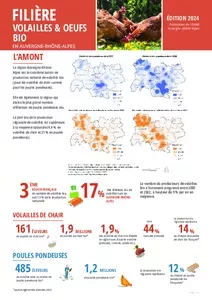 Fiche filières volailles bio régionale