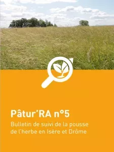 n°5 - Patu'RA 2024