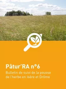 n°6 - Patu'RA 2024