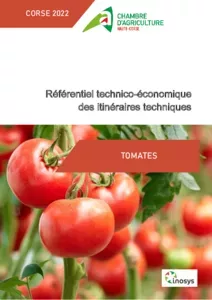 TOMATE : Référentiel technico technico-économique des itinéraires techniques en Corse