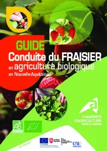 Guide Conduite technique du fraisier en AB en Nouvelle-Aquitaine