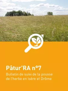 n°7 - Patu'RA 2024