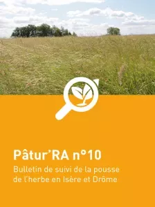 n°10 - Patu'RA 2024