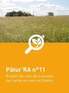 n°11 - Patu'RA 2024