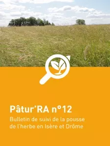 n°12 - Patu'RA 2024