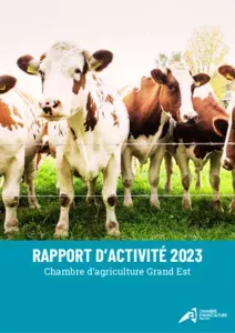 Rapport d'activités 2023 : la pérennisation des projets régionaux