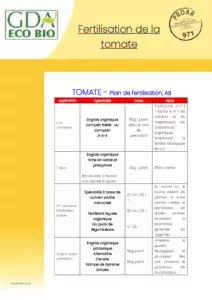 Fertilisation de la tomate