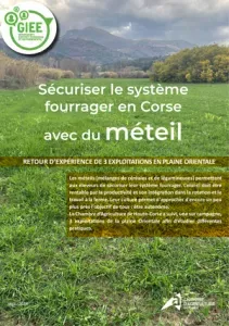 Sécuriser le système fourrager en Corse avec du méteil