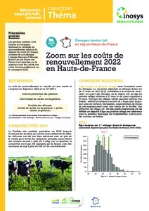 Elevages bovins lait : zoom sur les coûts de renouvellement 2022 en Hauts-de-France