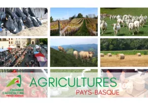 Agricultures Pays Basque - Chambre régionale d'agriculture Nouvelle ...