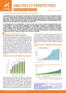 La méthanisation : entre espoirs et perspectives