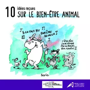 10 idées reçues sur le Bien-être animal