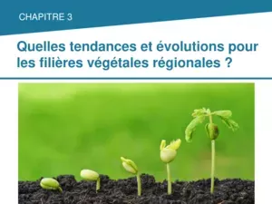 Filières & Co - Quelles tendances pour les filières végétales régionales