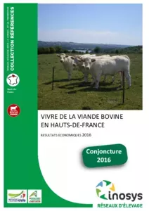 Vivre de la viande bovine en Hauts-de-France - Résultats économiques 2016