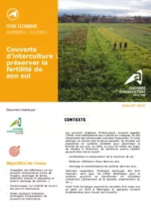 Couverts d’interculture : préserver la fertilité de son sol