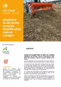 Adaptation du blé tendre en semis simplifié après maïs en Limagne