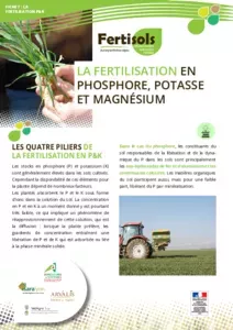 La fertilisation en Phosphore, Potasse et Magnésium et magnésium