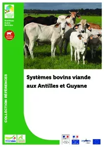 Systèmes bovins viande aux Antilles et en Guyane_2016