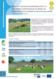 Résultats technico-économiques et pluriannuels PR Antilles-Guyane_2013