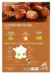 La filière noix en Isère