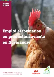 Emploi et formation en production avicole en Normandie