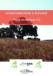 Agroforesterie & Elevage