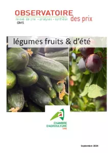 Observatoire 2024 des fruits et légumes d'été en Corse