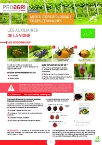 Les auxiliaires de la vigne - Fiche bio