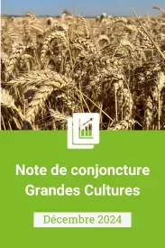 Note conjoncture Grandes cultures - Décembre 2024