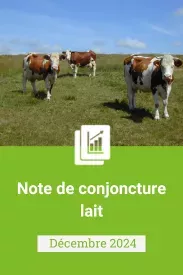 Note de conjoncture Produits laitiers - Décembre 2024