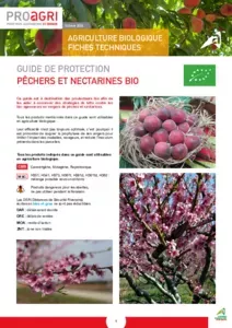 Pêchers et nectarines bio : Guide de protection - Fiche bio