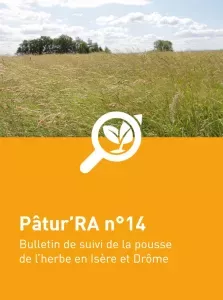 n°14 - Patu'RA 2024