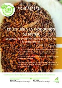 Couts liés à la production du méteil