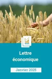 1 - 29/01/2025 - Lettre économique janvier 2025