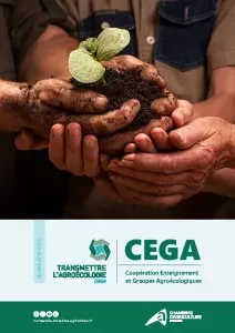 Projet CEGA: bilan