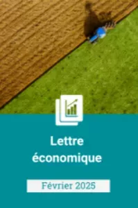 Lettre économique de février 2025 - La France en burn-out démographique